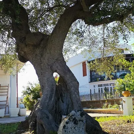 Casavacanze Pugliamia Grottaglie
