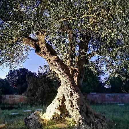 Villa Casavacanze Pugliamia Grottaglie