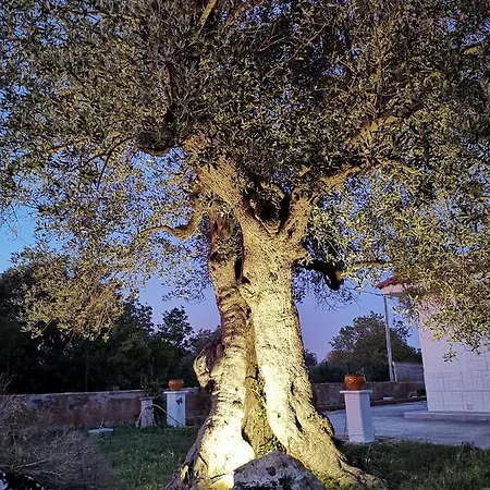 Casavacanze Pugliamia * Grottaglie