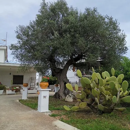 Villa Casavacanze Pugliamia Grottaglie